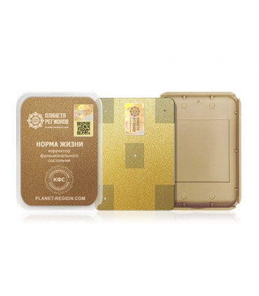 CEF « Norme Vitale - 1 »