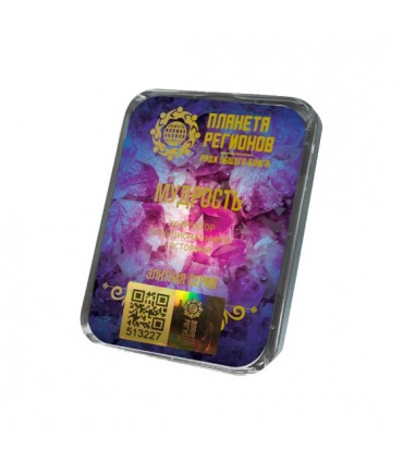 CEF Sagesse ; correcteur d'état fonctionnel ; plaque de Koltsov