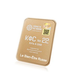 CEF N°22 Chemin vers Soi-même ; correcteur d'état fonctionnel ; plaque de Koltsov