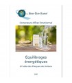 Brochure "Équilibrages énergétiques à l'aide des Plaques de Koltsov"
