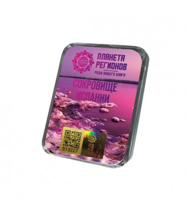 CEF Trésor d'Espagne ; correcteur d'état fonctionnel ; plaque de Koltsov