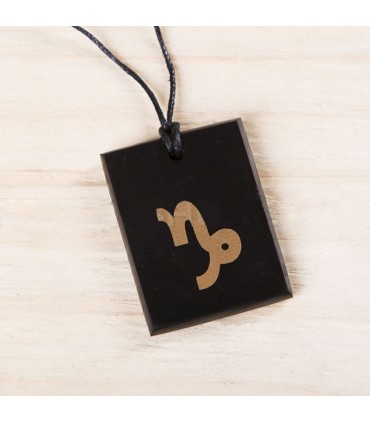 Pendentif "Capricorne" en Shungite rectangulaire