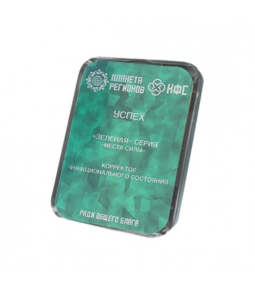 CEF Succès 8 éléments ; correcteur d'état fonctionnel ; plaque de Koltsov