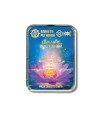CEF "Souffle de L'Univers"