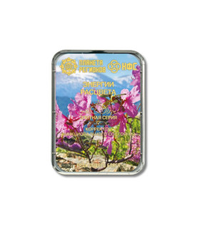 CEF Energies de la Floraison