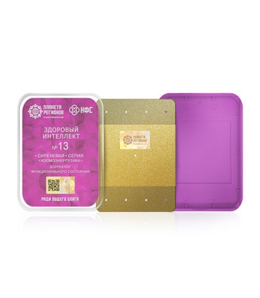 CEF N° 13 - Fonction « Mental Sain »