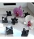 Merkaba en Shungite