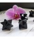 Merkaba en Shungite
