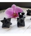 Merkaba en Shungite