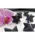 Merkaba en Shungite