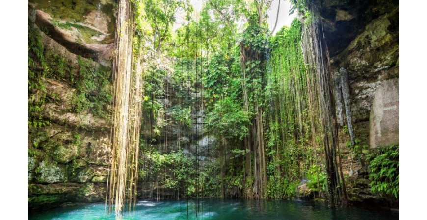 Grotte du Tapir, Cénote du Yucatan