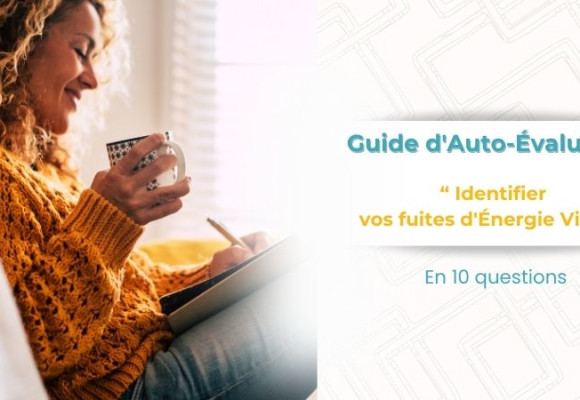 Guide d'Auto-Evaluation