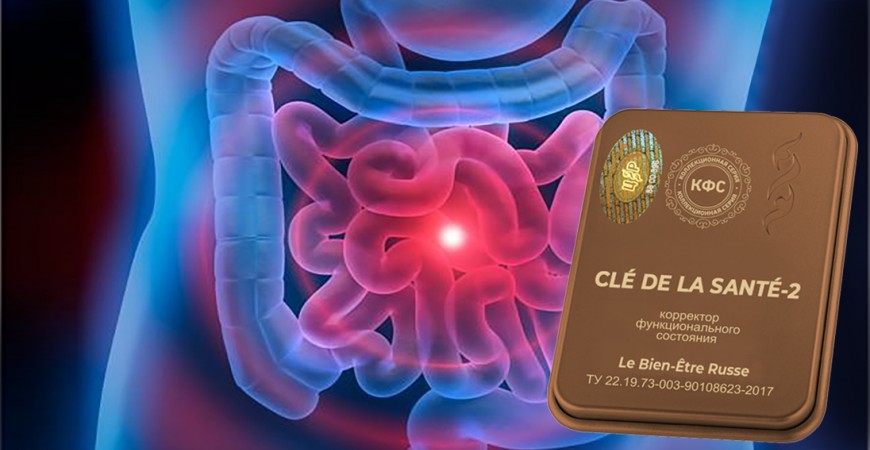 L’Intestin et son Microbiote Intestinal